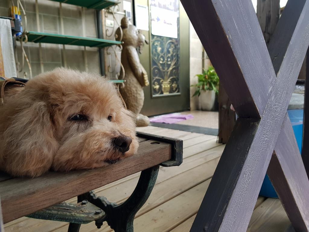 Bearbear Homestay Hualien stad Exteriör bild