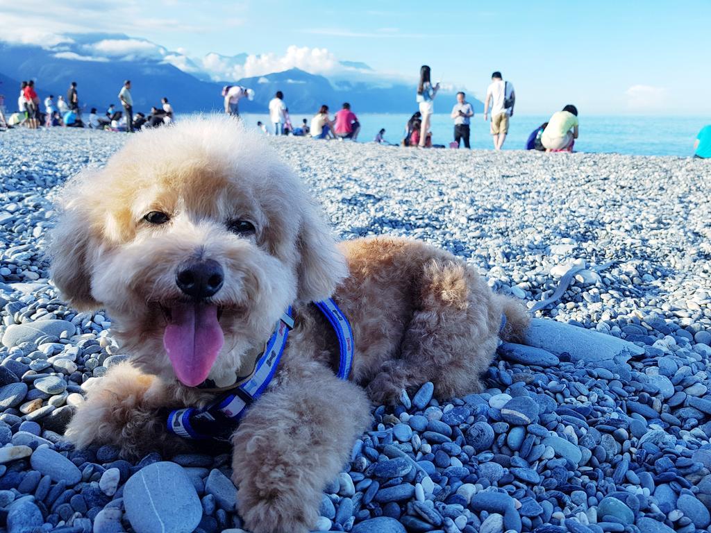 Bearbear Homestay Hualien stad Exteriör bild